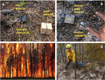 Fire as a Removal Mechanism of Pyrogenic Carbon From the Environment: Effects of Fire and Pyrogenic Carbon Characteristics